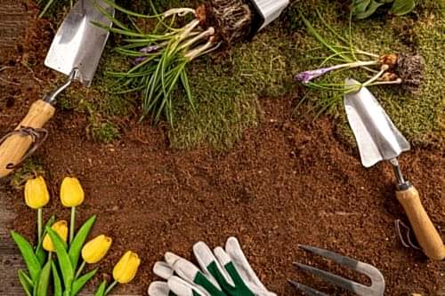 Inspiring Ideas for Garden Landscaping