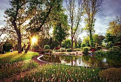 Garden Landscape Examples: Ideas for the Most Beautiful Gardens