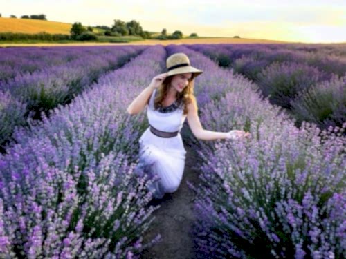 Care for Fragrant Flowers to Add Color to Your Garden