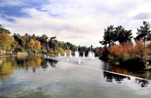 Biological Pond Implementation