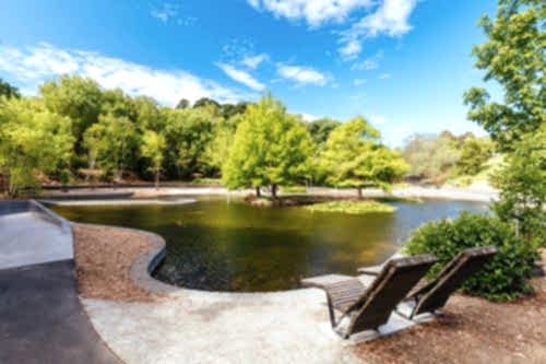 Biological Ornamental Pool