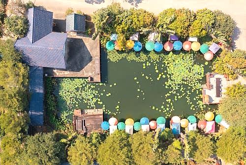 Biological Swimming Pond