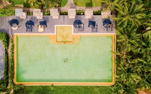 Biological Swimming Pools