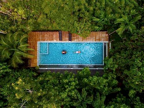 Biological Swimming Pools