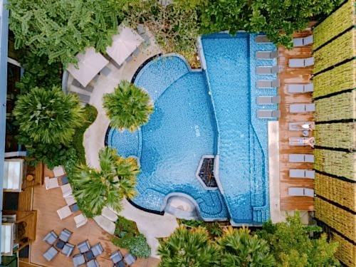 Biological Swimming Pools