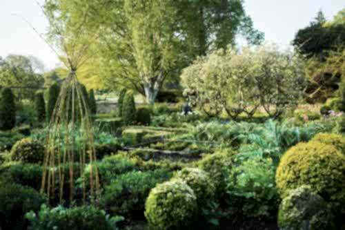 What Is Botany? The Importance of Plant Science in Nature and Its Areas of Use