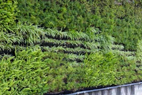 Vertical Garden and Planting Systems