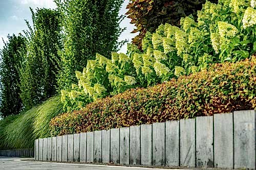 Vertical Garden and Planting Systems