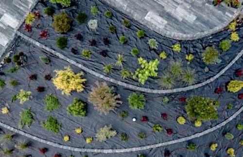 Geoweb Projects | Cem Botanik