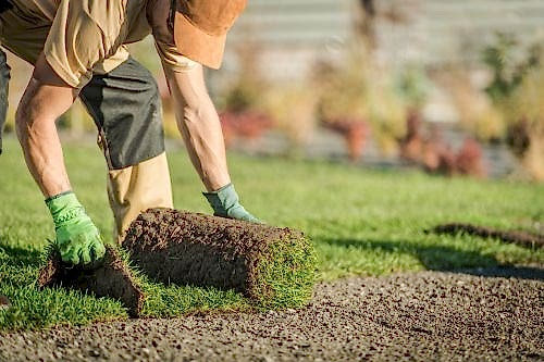 Spring Lawn Care