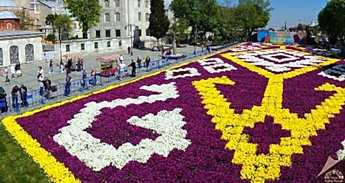 What Are Istanbul’s Natural Wonders? Top Places You Should Explore