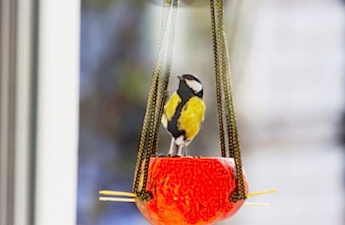 How to Make a Bird Feeder from a Gourd