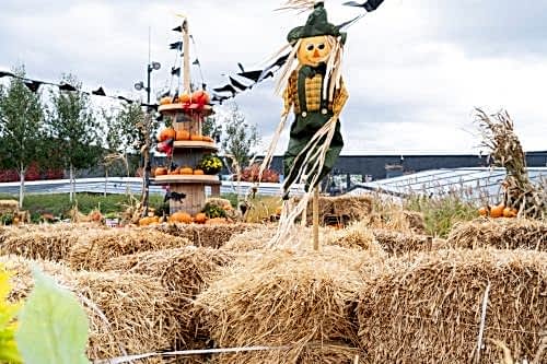 Scarecrow Making