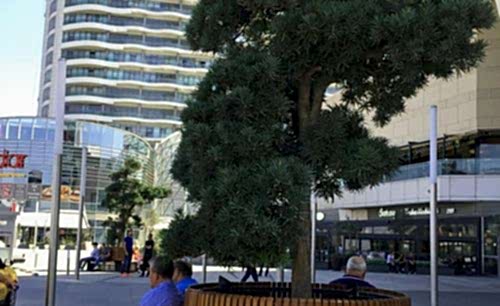 Mall Of İstanbul Projects | Cem Botanik