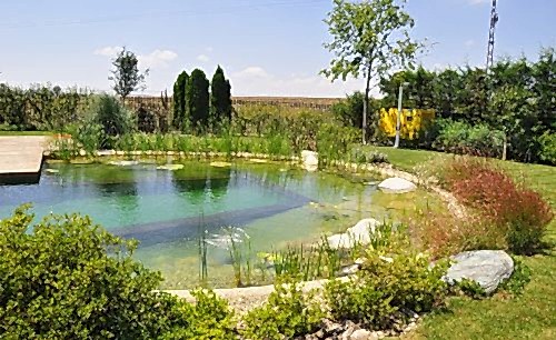 Private Villa Garden 3