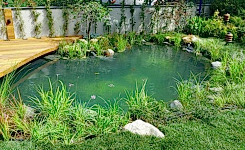 Privet Villa Garden 5