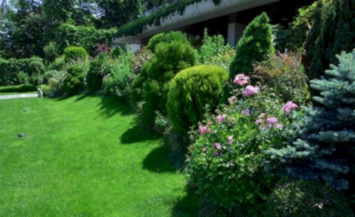Privet Villa Garden 6