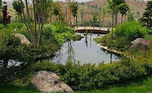 Privet Villa Garden 7