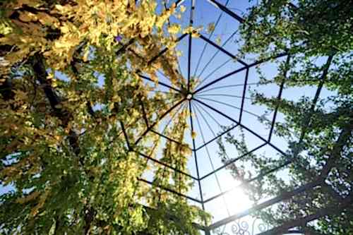 Pergola Systems: Modern Designs and Functional Features
