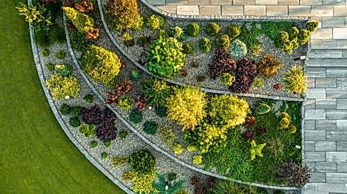Landscaping Plants