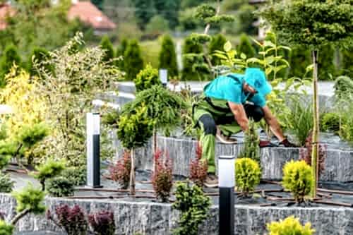 Landscape Arrangement