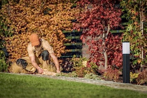 Autumn Garden Maintenance
