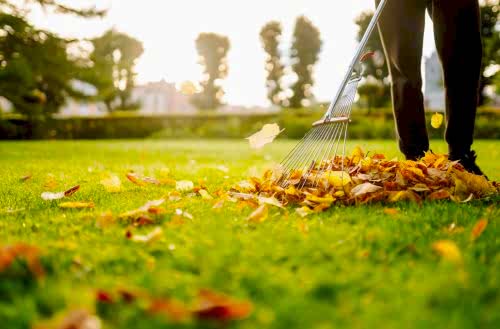 Autumn Lawn Care