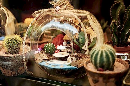 What is a Terrarium?