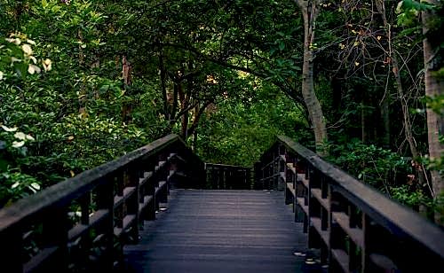 Sleeper Applications: Natural and Aesthetic Landscaping Solutions