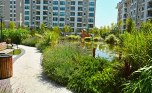 Trendist Projects | Cem Botanik